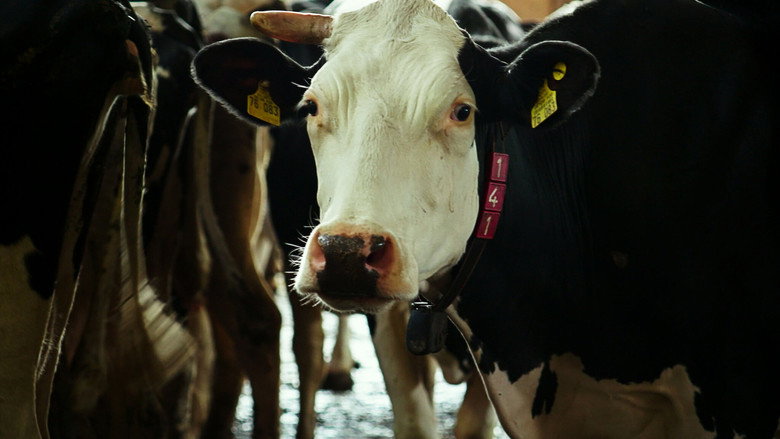 The Milk System still 8