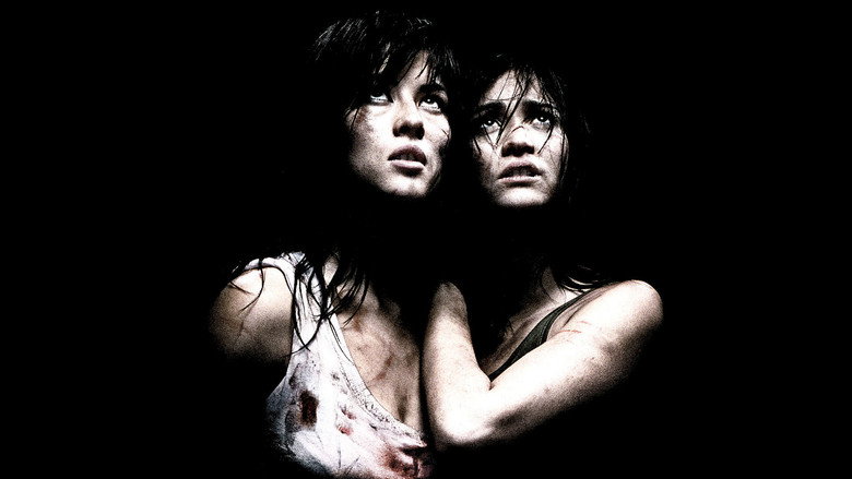 Martyrs still 2