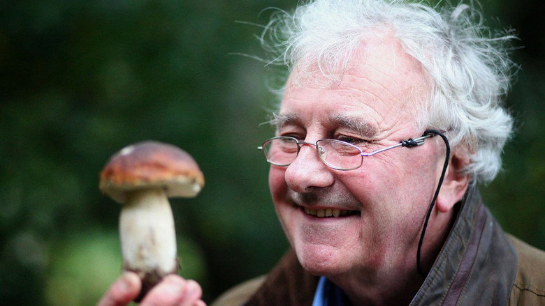 The Magic of Mushrooms still 1