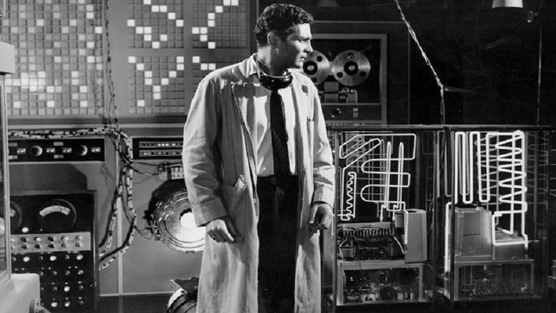 The Fly still 6