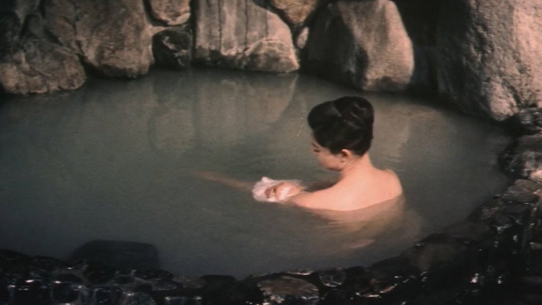 Akitsu Hot Springs still 1