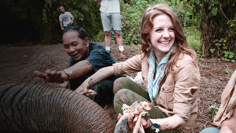 Love & Bananas: An Elephant Story still 8