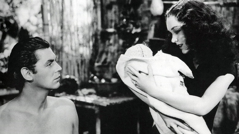 Tarzan Finds a Son! still 6