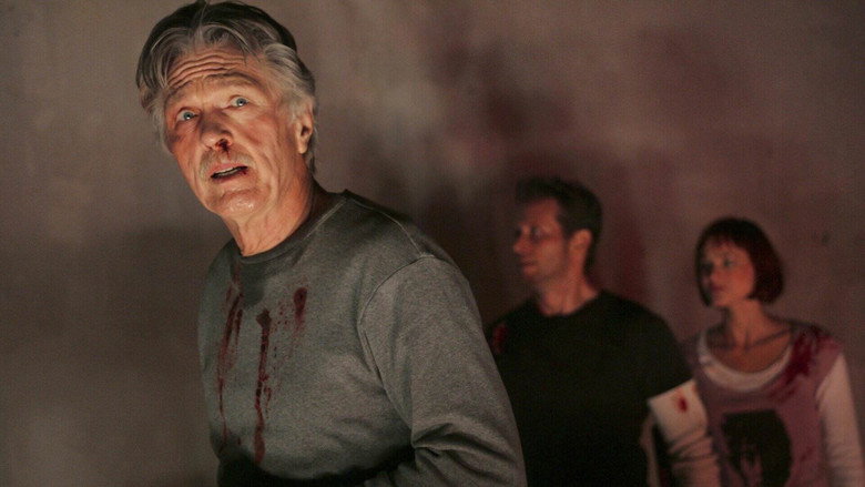 Desperation still 2
