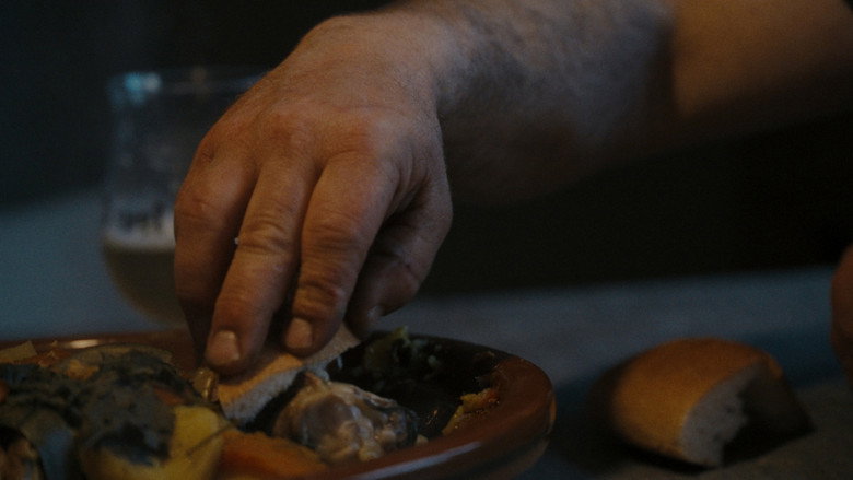 Sheep still 4