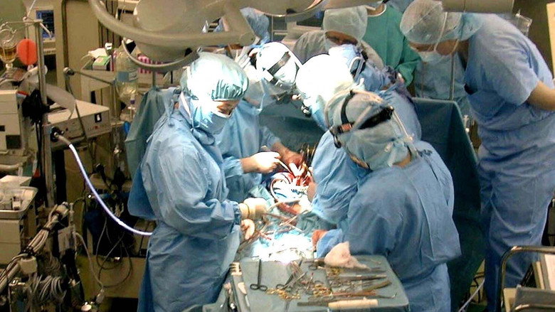 Der Streit um den Hirntod – Organspende auf dem Prüfstand still 1