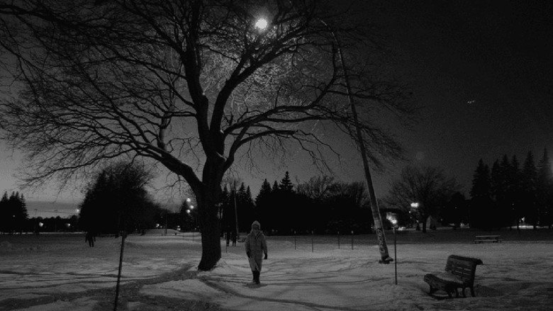 Snowflakes at the End of the World still 1