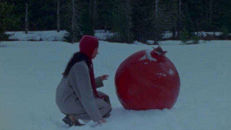 what does it feel like to live inside a pomegranate? still 2