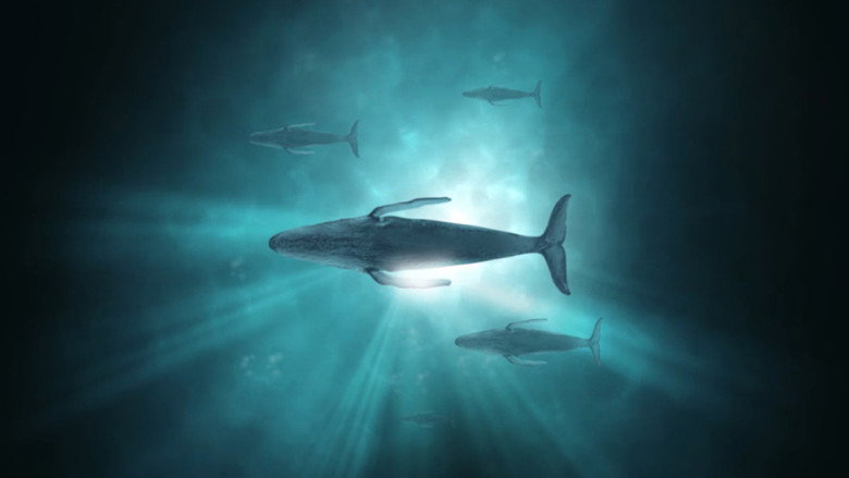 Sonic Sea still 1
