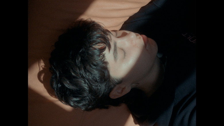 Refugis de paper still 2