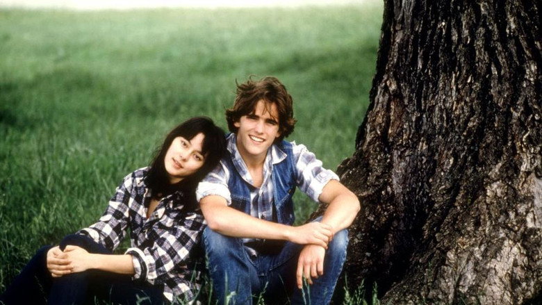 Tex still 5