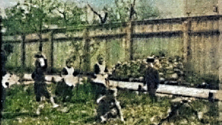 Children Playing in the Garden still 1