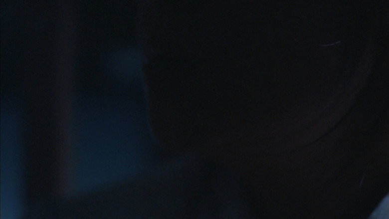 Whispering Corridors still 8
