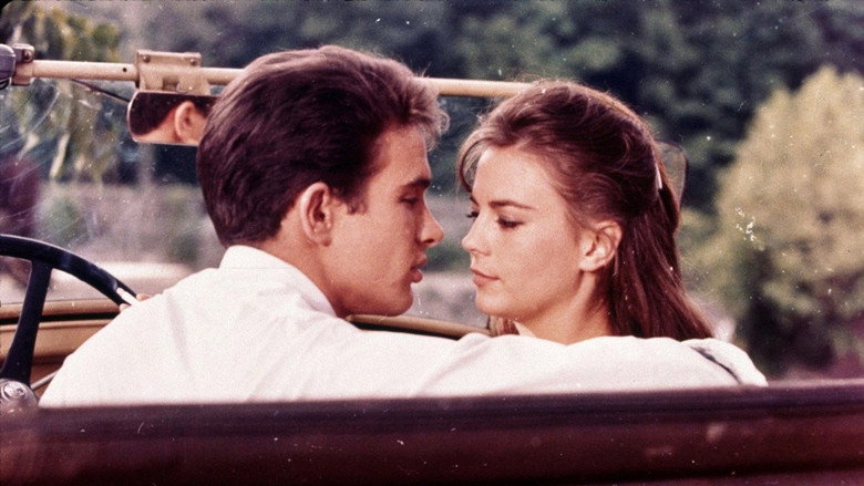 Splendor in the Grass still 2