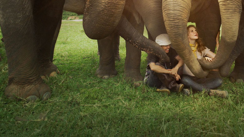 Love & Bananas: An Elephant Story still 5