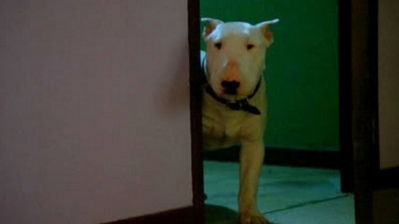 Baxter still 1