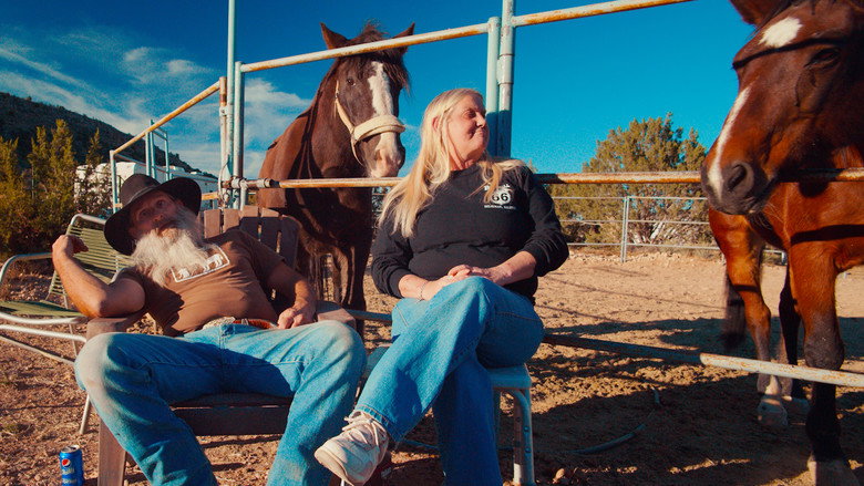 America still 6