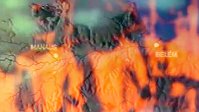 A conquista da floresta still 3
