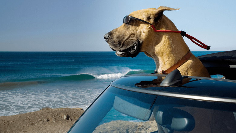 Marmaduke still 2