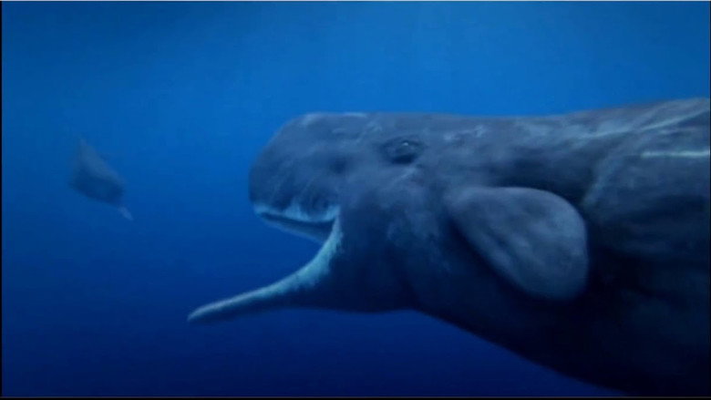 Ocean Odyssey still 1