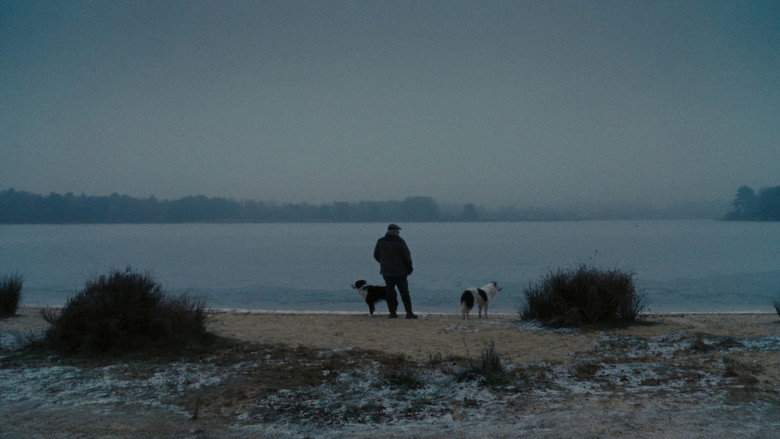 Sheep still 3