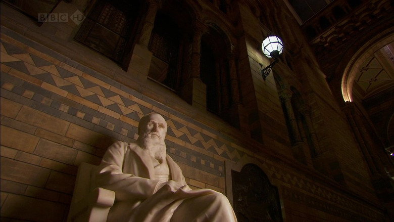 Charles Darwin and the Tree of Life still 4