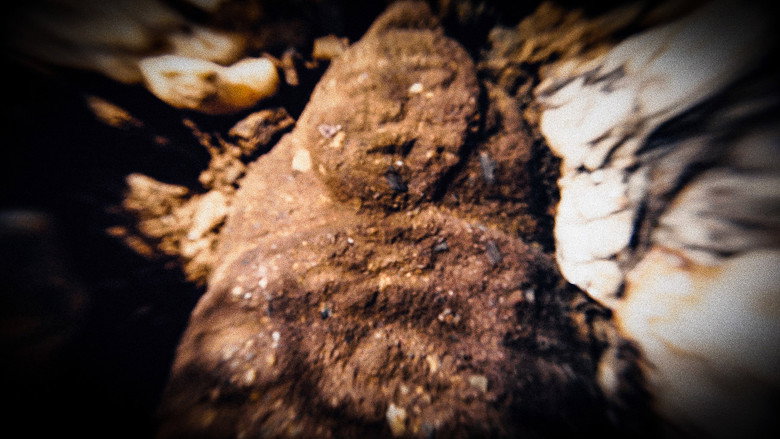 Ñuhu: Sacred Beings still 6