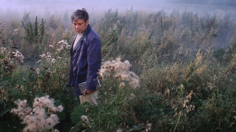 Solaris still 7