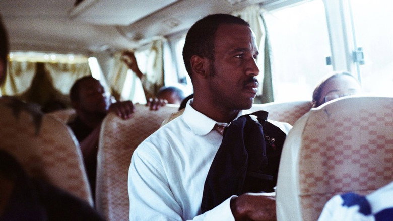 Cocote still 2
