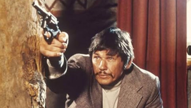 The Stone Killer still 8
