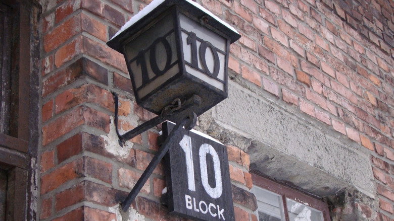 Made in Auschwitz: The Untold Story of Block 10 still 1