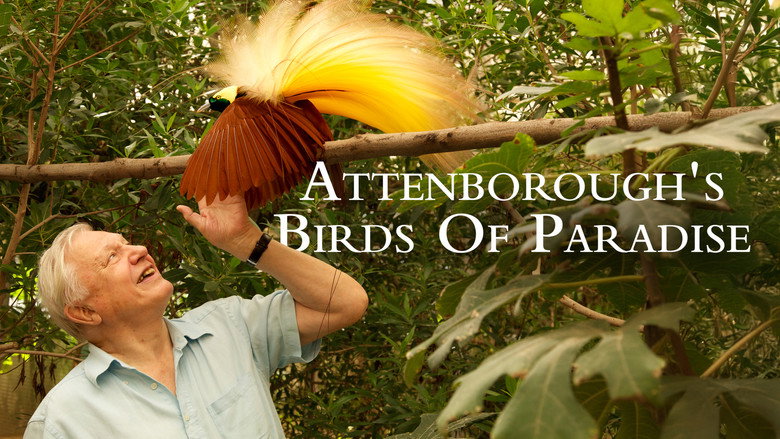 Birds of Paradise still 1