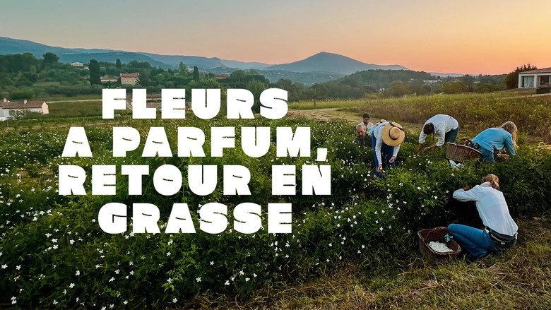 Fleurs à parfum, retour en Grasse still 6