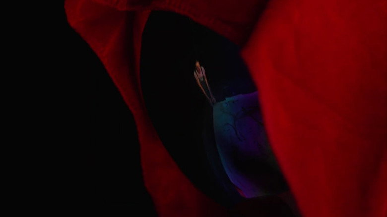 Faust still 1