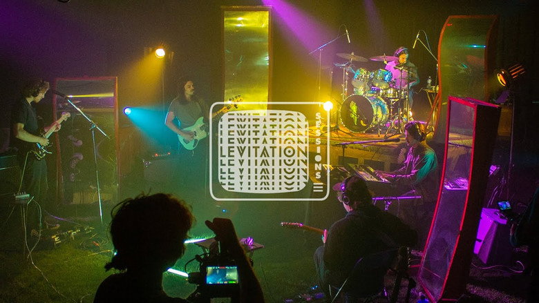 Post Animal - Levitation Sessions still 1