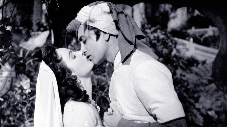 Kismet still 2