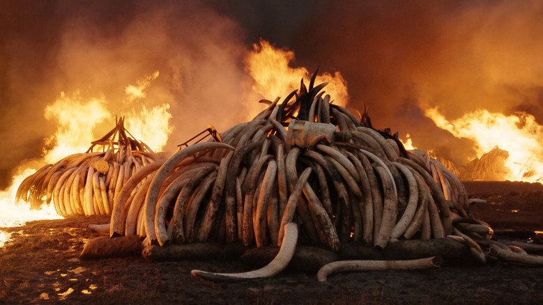 Anthropocene: The Human Epoch still 5