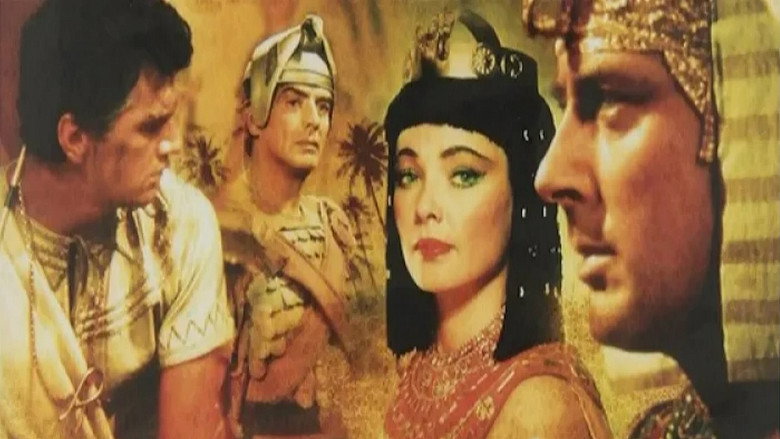 The Egyptian still 2
