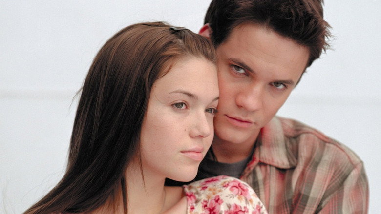 A Walk to Remember still 6