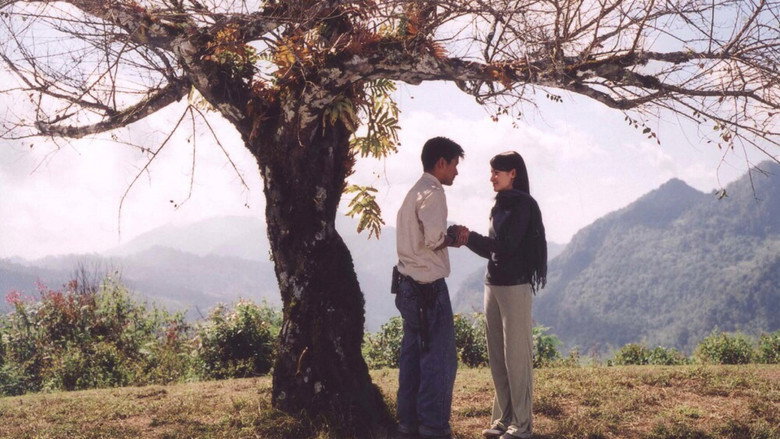 The Letter still 2