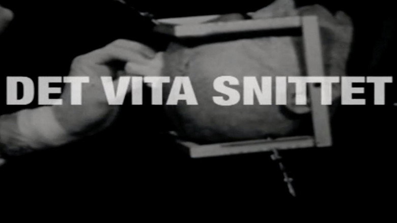 Det vita snittet still 1