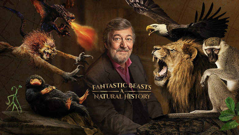 Fantastic Beasts: A Natural History still 5
