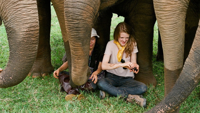 Love & Bananas: An Elephant Story still 1