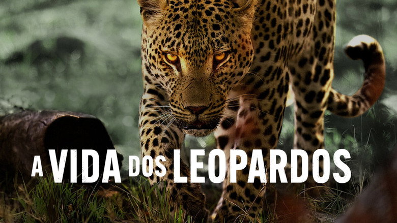 Living with Leopards still 4