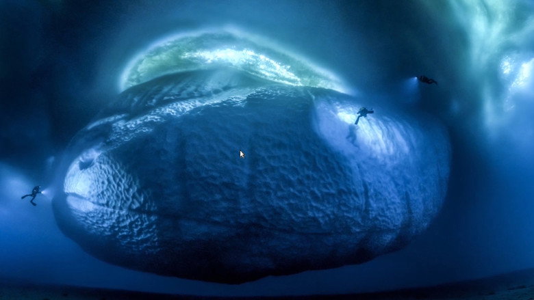 Antarctica, in the footsteps of the Emperor still 7