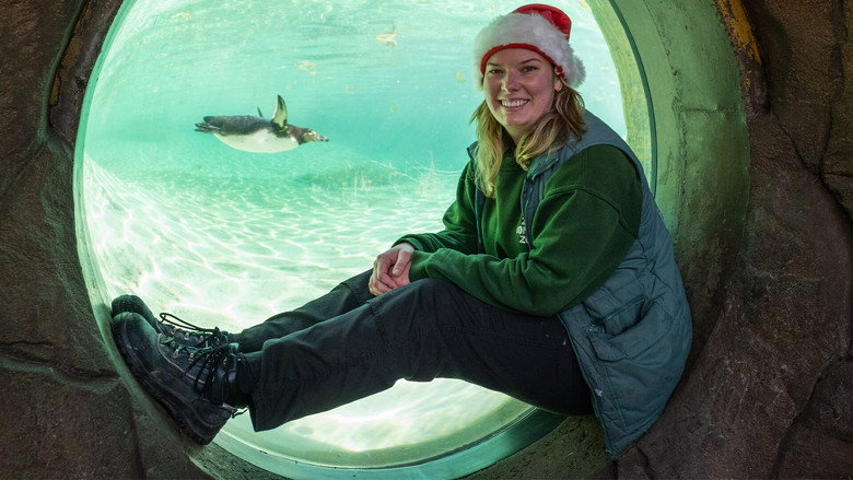 London Zoo at Christmas still 1