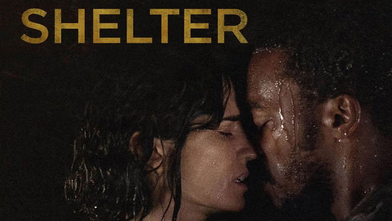 Shelter still 6