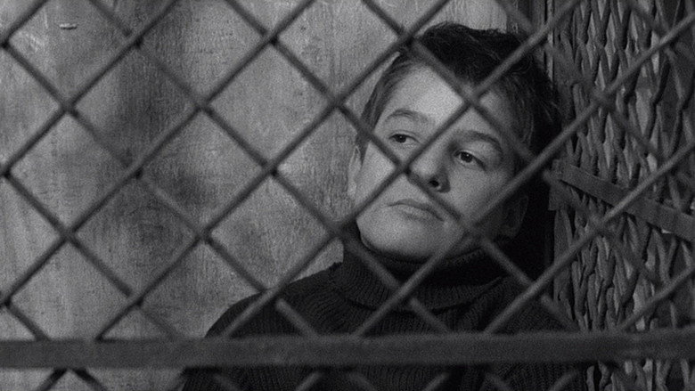 The 400 Blows still 5