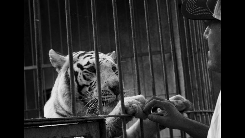 Muder´s in the zoo still 2