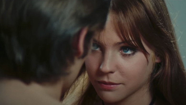 The Bloodstained Butterfly still 6